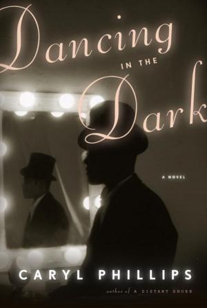 Cover of the book Dancing in the Dark by Jeanette Winterson