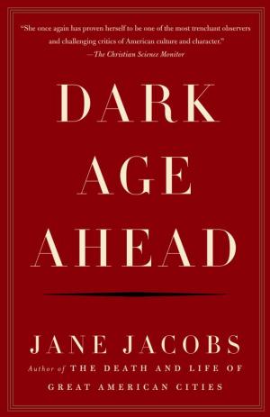bigCover of the book Dark Age Ahead by 