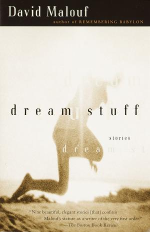 Cover of the book Dream Stuff by Alain Defossé