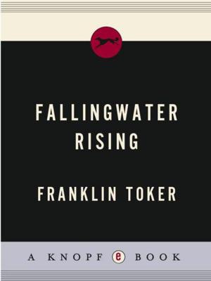 Cover of the book Fallingwater Rising by Hari Kunzru