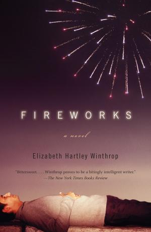 Book cover of Fireworks