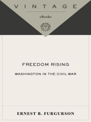 Cover of the book Freedom Rising by Anita Brookner