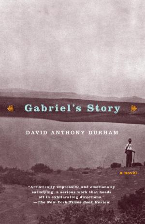 Book cover of Gabriel's Story