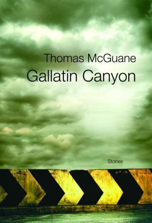 Book cover of Gallatin Canyon