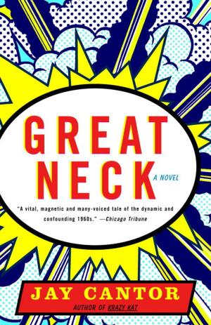 Cover of the book Great Neck by Ana Castillo