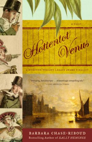 Book cover of Hottentot Venus