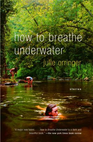 Cover of the book How to Breathe Underwater by Joseph J. Ellis