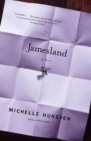 Cover of the book Jamesland by Emily Padraic
