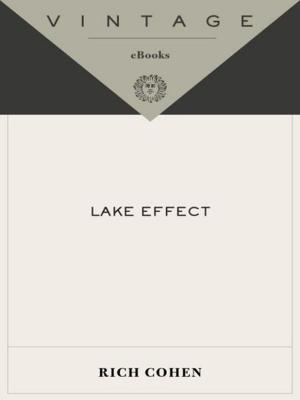 Cover of the book Lake Effect by Benjamin Lebert
