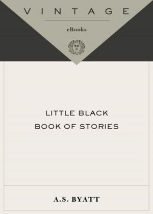 Cover of the book Little Black Book of Stories by William Kuhn