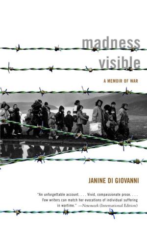 bigCover of the book Madness Visible by 