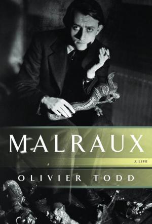 Cover of the book Malraux by Gertrude Himmelfarb