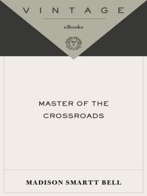Cover of the book Master of the Crossroads by John Updike