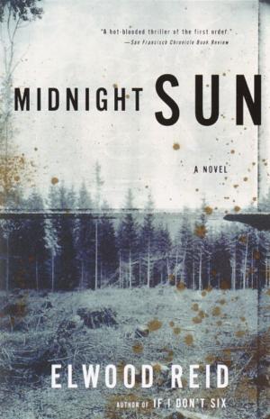 Cover of the book Midnight Sun by S.R. Karfelt