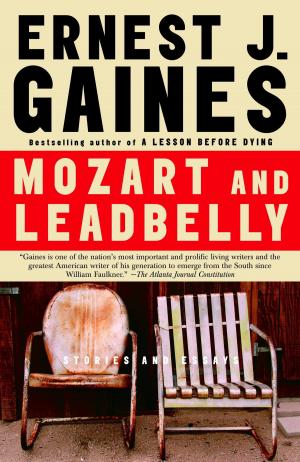 Cover of the book Mozart and Leadbelly by Richard Fortey