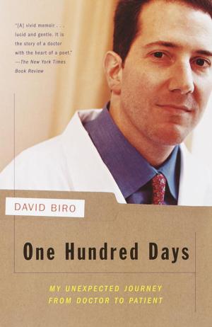 Cover of the book One Hundred Days by David W. McCullough