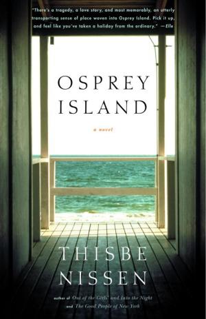 Cover of the book Osprey Island by Pico Iyer