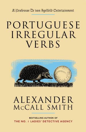 Cover of the book Portuguese Irregular Verbs by Michael Harvey