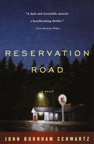 Book cover of Reservation Road
