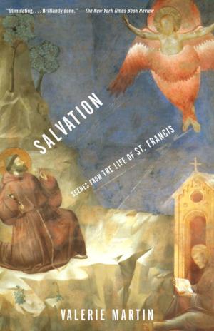 bigCover of the book Salvation by 