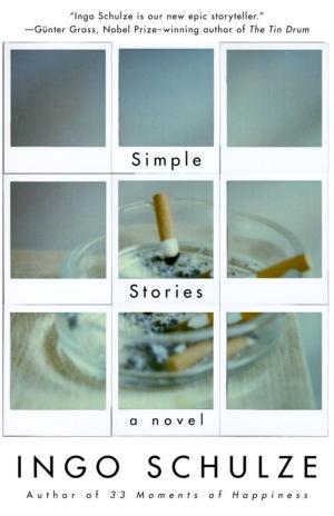 Cover of the book Simple Stories by George Johnson