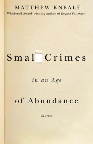 Cover of the book Small Crimes in an Age of Abundance by Jonathan Sacks