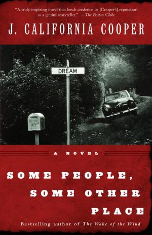 Cover of the book Some People, Some Other Place by Chuck Palahniuk