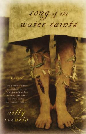 Cover of the book Song of the Water Saints by Robert Karen, Ph.D.