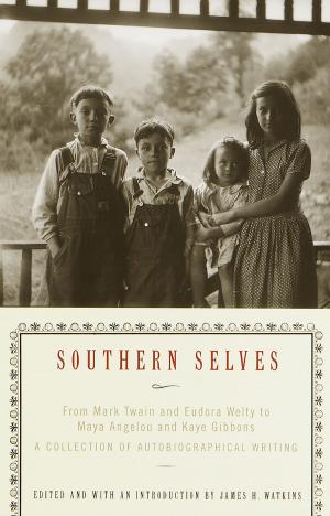 Cover of the book Southern Selves by H. G. Wells