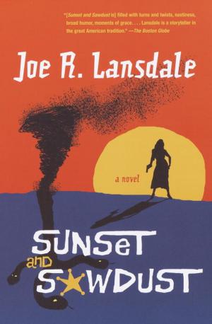 Book cover of Sunset and Sawdust