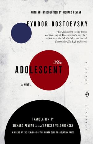 Cover of the book The Adolescent by Isabel Allende