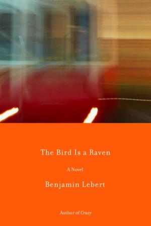 Book cover of The Bird Is a Raven