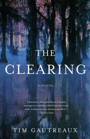 Cover of the book The Clearing by T.J. Stiles