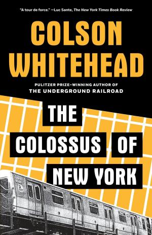 Book cover of The Colossus of New York