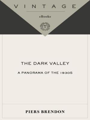 Book cover of The Dark Valley