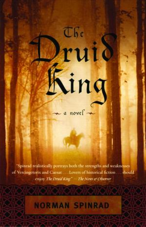 Cover of the book The Druid King by Nick Harkaway
