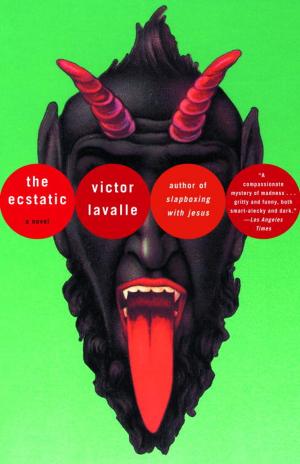 Cover of the book The Ecstatic by Yukio Mishima