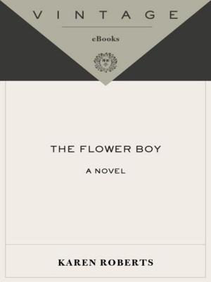 Cover of the book The Flower Boy by Stephanie Saldana