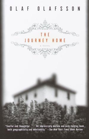 Cover of the book The Journey Home by Meir Shalev