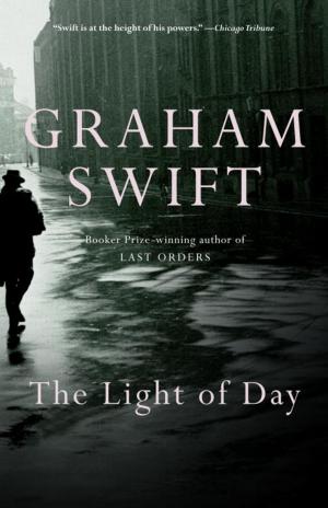 Book cover of The Light of Day
