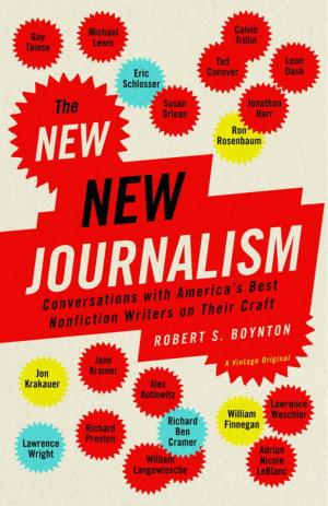 Cover of the book The New New Journalism by Maria Flook