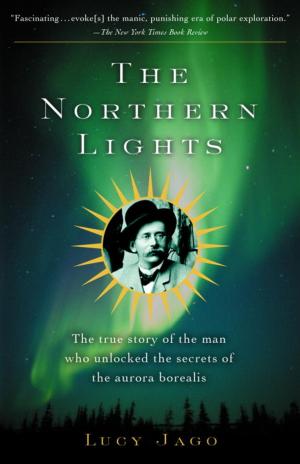 Book cover of The Northern Lights