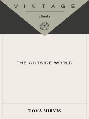 Cover of the book The Outside World by David K. Shipler