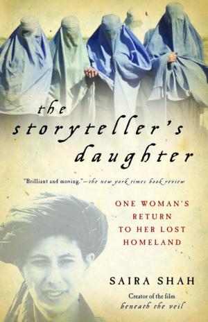 Cover of the book The Storyteller's Daughter by Pico Iyer