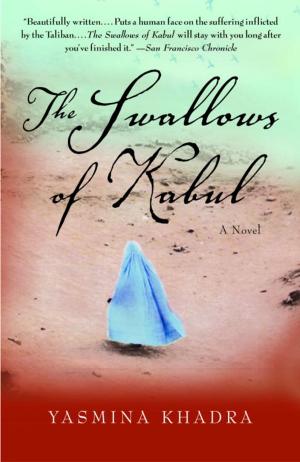 Book cover of The Swallows of Kabul