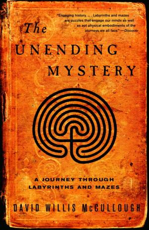 Book cover of The Unending Mystery