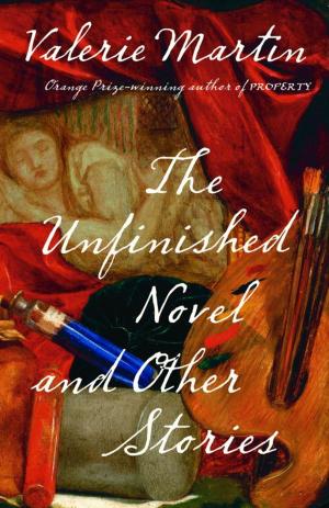bigCover of the book The Unfinished Novel and Other Stories by 
