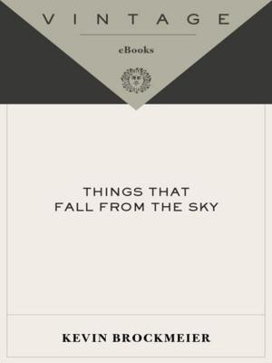 Cover of the book Things that Fall from the Sky by Anita Brookner