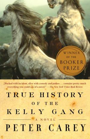 bigCover of the book True History of the Kelly Gang by 