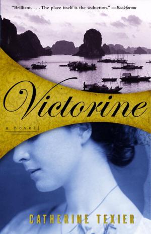 Cover of the book Victorine by Daniel Kehlmann